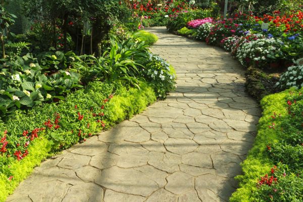 Stone Pathway Repair in Springfield